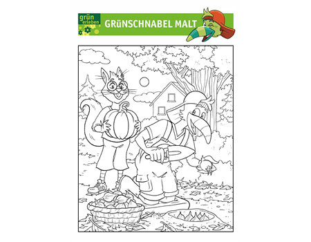 Grünschnabel Malvorlage 6 25 Grünschnabel Malvorlage 6 25