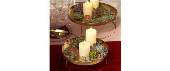 IM GLANZ DER ELEGANZ!