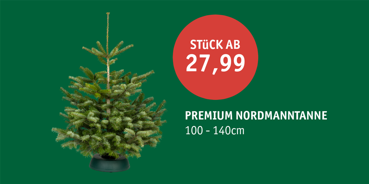 Unbenannt - 2025-11-27T101636.726.png