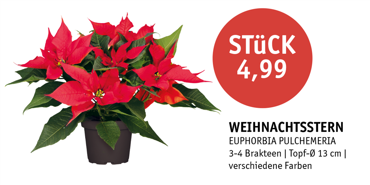 Unbenannt - 2025-11-27T102927.562.png