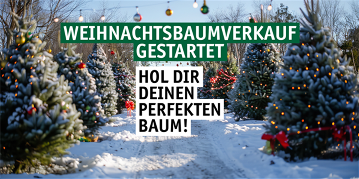 WB Verkauf (1)-0-0-1200-600.png