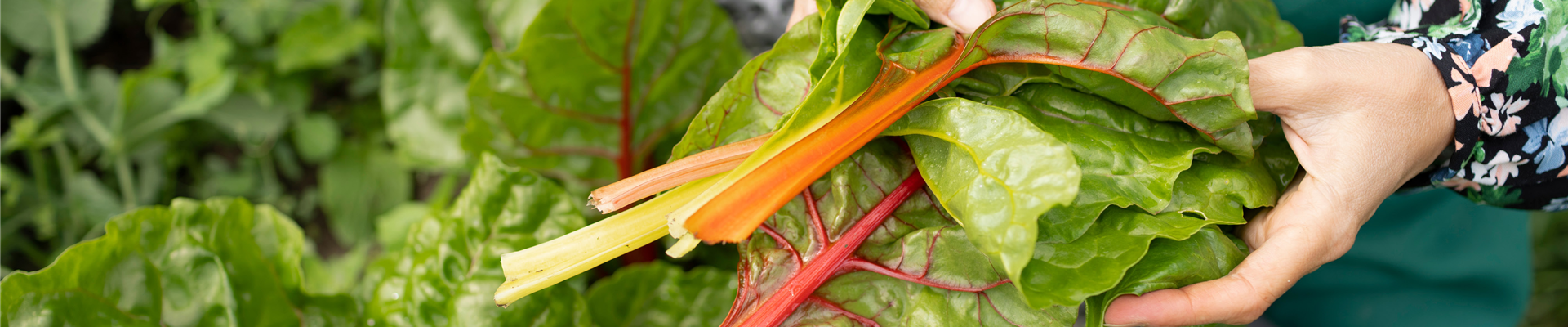 Buch des Monats: März!