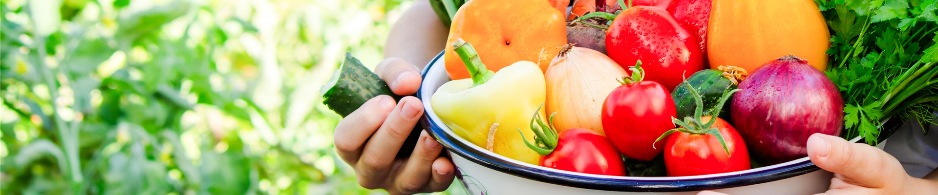 Buch des Monats: April!