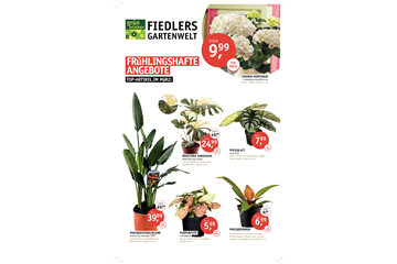 DEINE TOP-ANGEBOTE IM MäRZ!