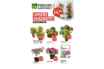 DEINE TOP-ANGEBOTE IM APRIL!