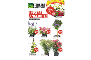DEINE TOP-ANGEBOTE IM MAI!