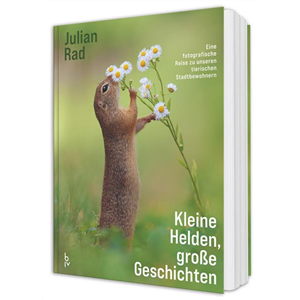 Buch des Monats: Oktober!