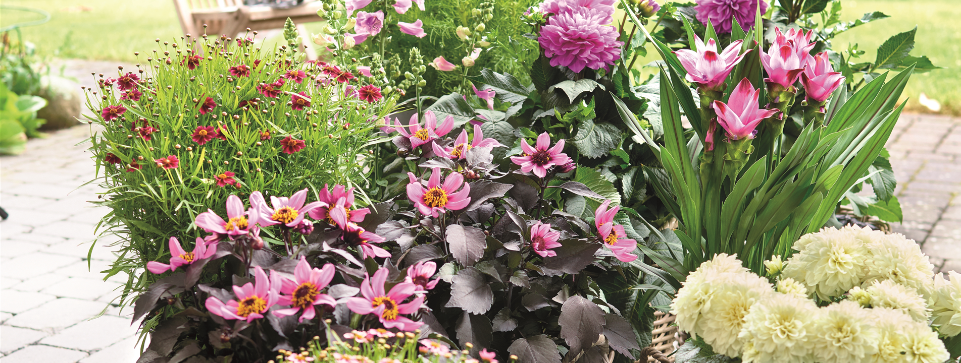BLÜHENDER GARTEN! AUSDAUERNDE STAUDEN FÜR TERRASSEN UND BEETE. 