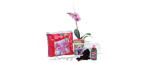 ORCHIDEEN-PFLEGE ORCHIDEEN-PFLEGE